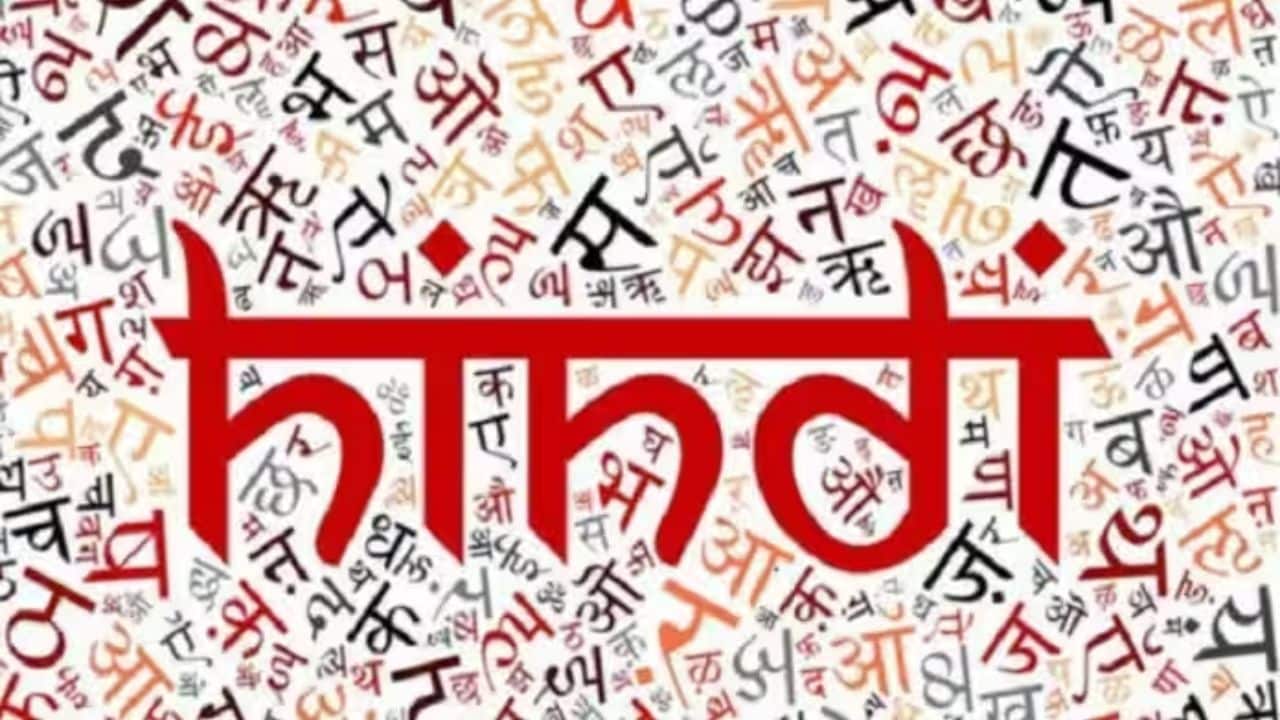 Top 5 Languages
