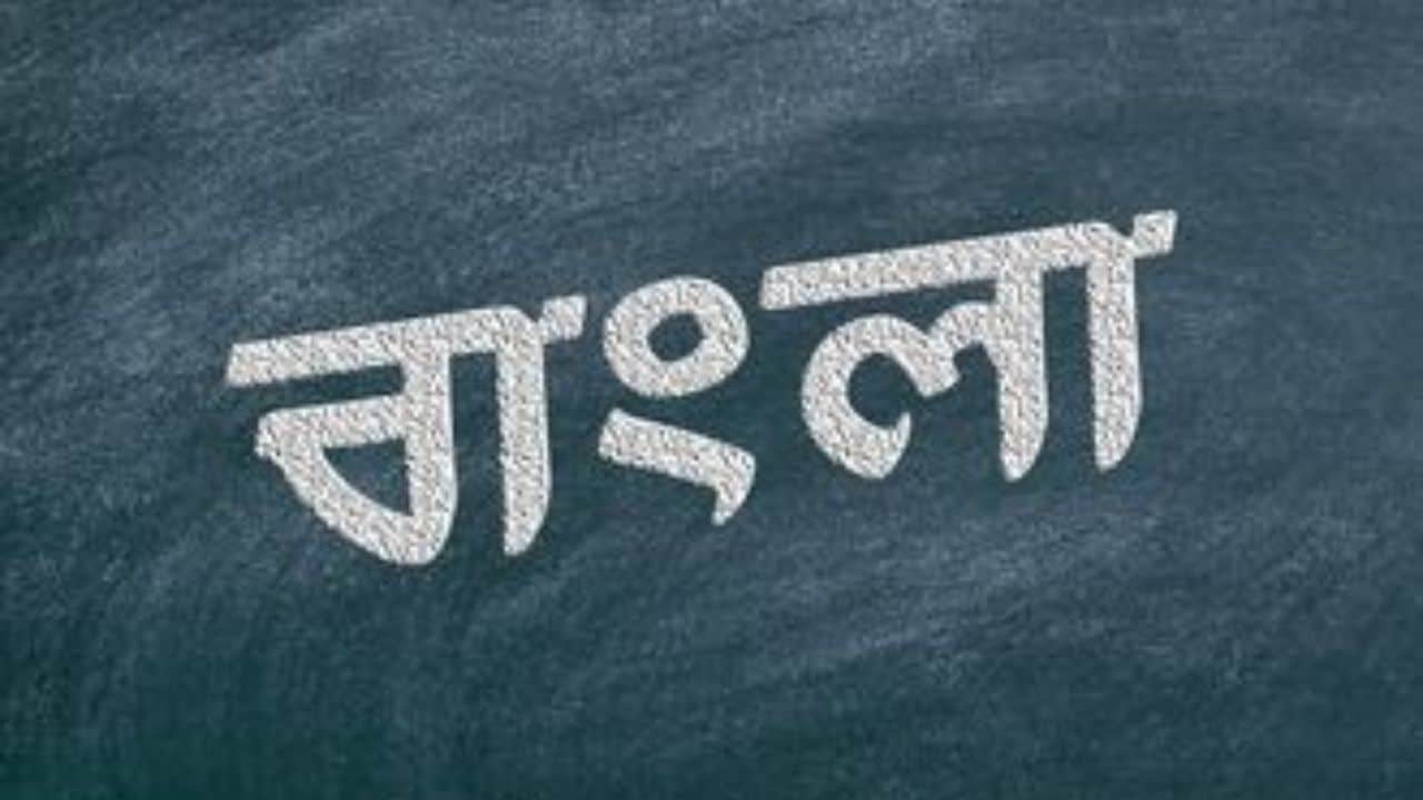 Top 5 Languages