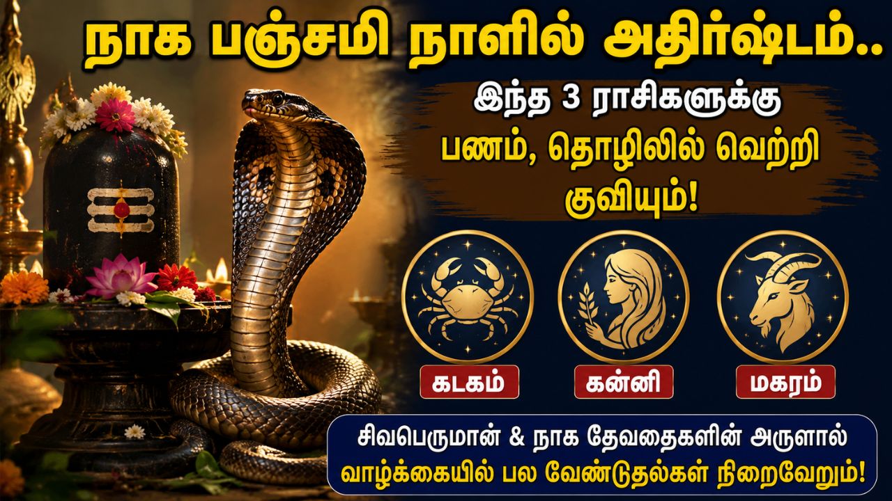 Rasi Palan