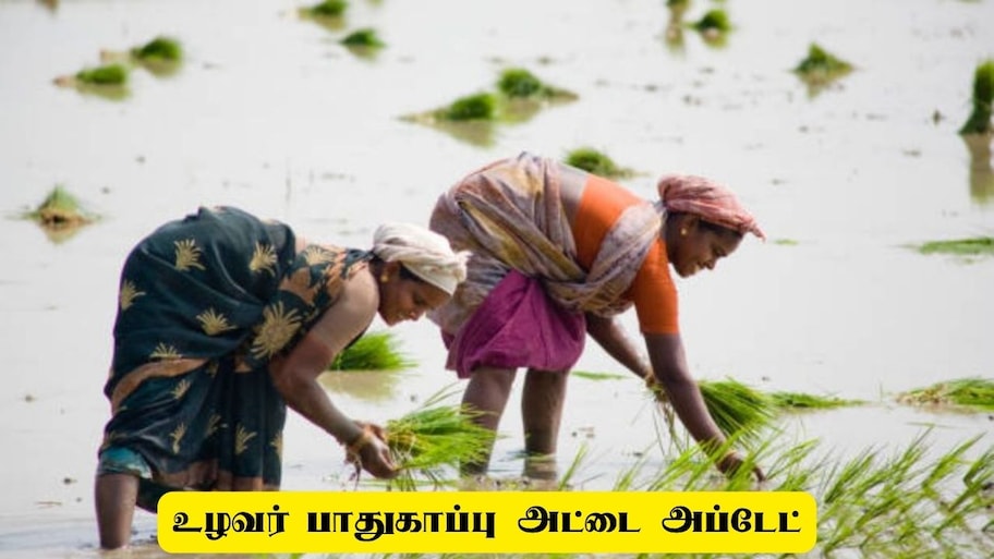 உழவர் பாதுகாப்பு அட்டை வைத்திருப்பவர்களுக்கு ஜாக்பாட்! உதவித்தொகை புதிய அப்டேட்ஸ்