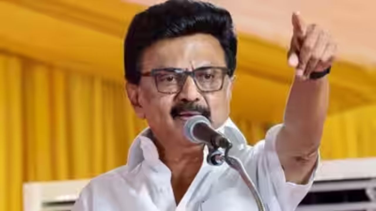 DMK