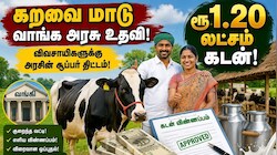 கறவை மாடு கடன் திட்டம்: ரூ.1.20 லட்சம் வரை கடனுதவி.. விவசாயிகள் எப்படி பெறலாம்?