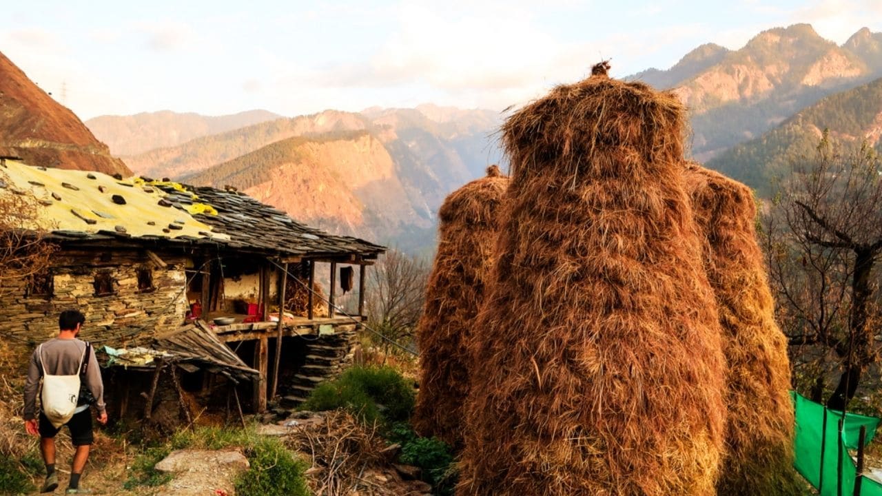 Pini Village