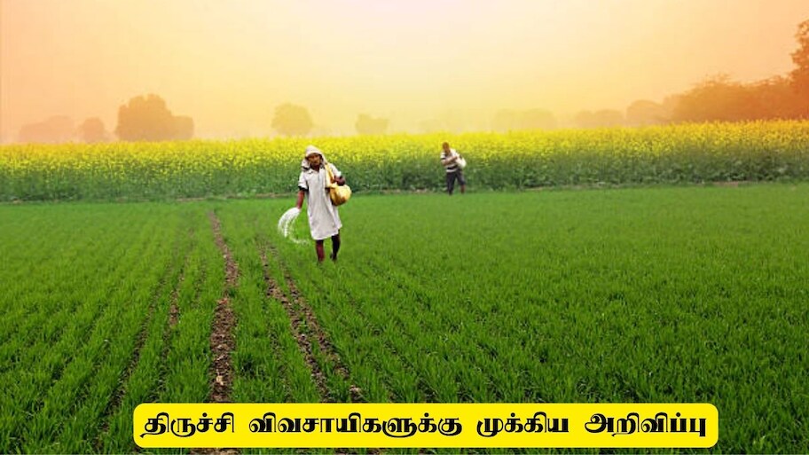 திருச்சி விவசாயிகளுக்கு ஏக்கருக்கு ரூ.3 லட்சம் மானியம்! யாருக்கெல்லாம் கிடைக்கும்?