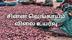 மதுரையில் சின்ன வெங்காயம் கிடுகிடு உயர்வு... என்ன காரணம்?