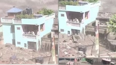 Watch: நேபாள வெள்ளம்... இணையத்தில் வைரலான அந்த பச்சை வீட்டிலிருந்த குடும்பம் உயிர் தப்பிய அதிசயம்