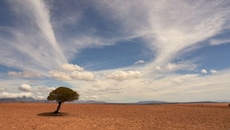 Explained : வறட்சியை வாரி வழங்கும் El nino! 2027ல் என்னவாகும்? நிபுணர்கள் கணிப்பு..
