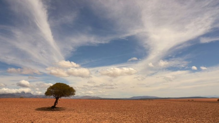Explained : வறட்சியை வாரி வழங்கும் El nino! 2027ல் என்னவாகும்? நிபுணர்கள் கணிப்பு..