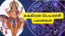 நவம்பரில் சுக்கிரன் பெயர்ச்சி... இந்த 4 ராசிகளுக்கு ராஜயோகம்.. வெற்றி, அதிர்ஷ்டம் கிடைக்கும்