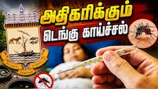 சென்னையில் அதிகரிக்கும் டெங்கு காய்ச்சல்: கொசு ஒழிப்பு நடவடிக்கைகளைத் தீவிரப்படுத்தும் GCC