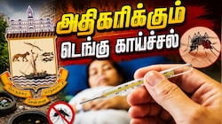 சென்னையில் அதிகரிக்கும் டெங்கு காய்ச்சல்: கொசு ஒழிப்பு நடவடிக்கைகளைத் தீவிரப்படுத்தும் GCC