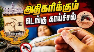 சென்னையில் அதிகரிக்கும் டெங்கு காய்ச்சல்: கொசு ஒழிப்பு நடவடிக்கைகளைத் தீவிரப்படுத்தும் GCC
