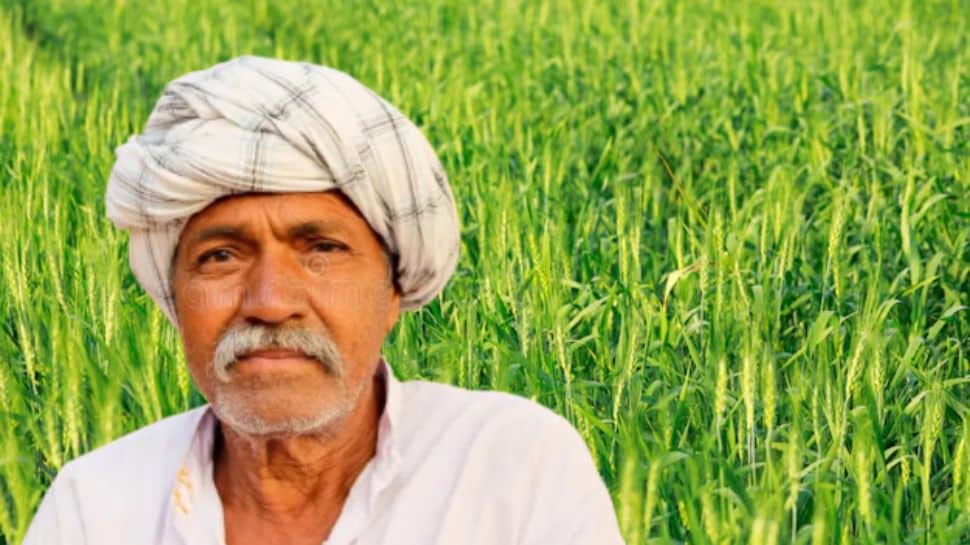 PM Kisan: Government Employees