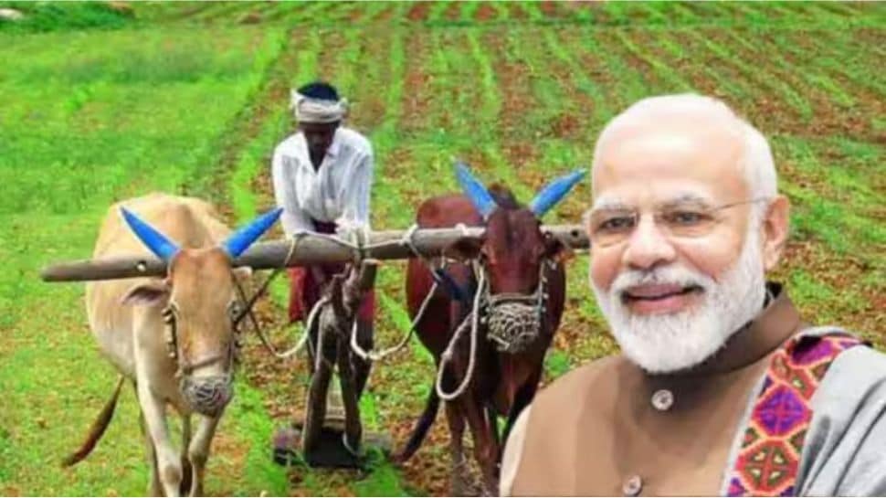 Land Verification