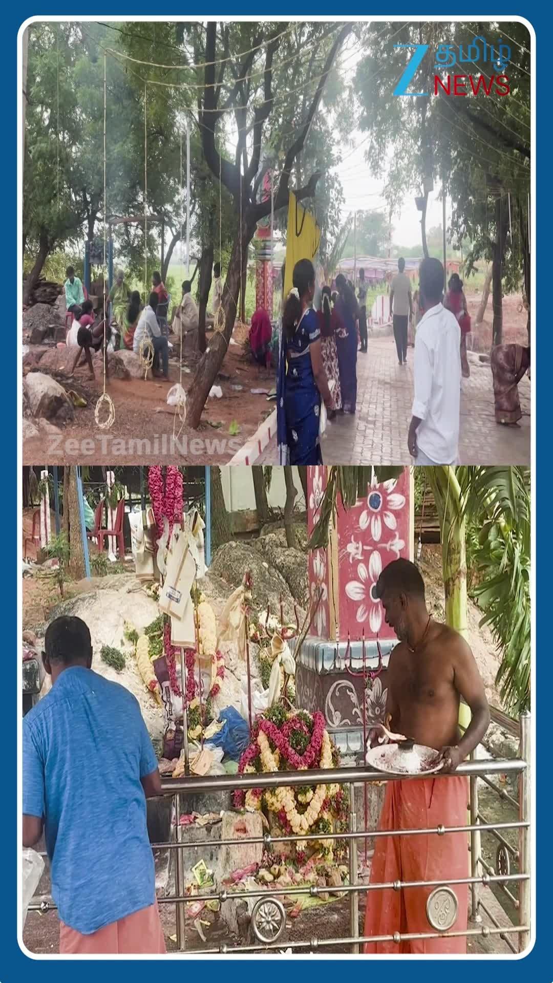 மதுரையில் மிரட்டலான கறிவிருந்து... 450 ஆடுகள் வெட்டி அன்னதானம்