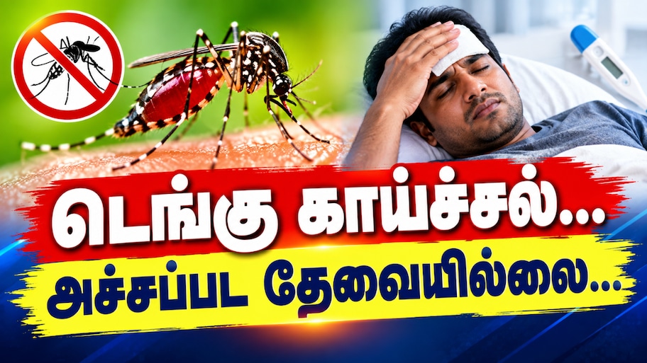 2024 முதல் 2026 வரை... டெங்கு பாதிப்பு நிலவரம் என்ன? - தமிழ்நாடு அரசின் விளக்கம்