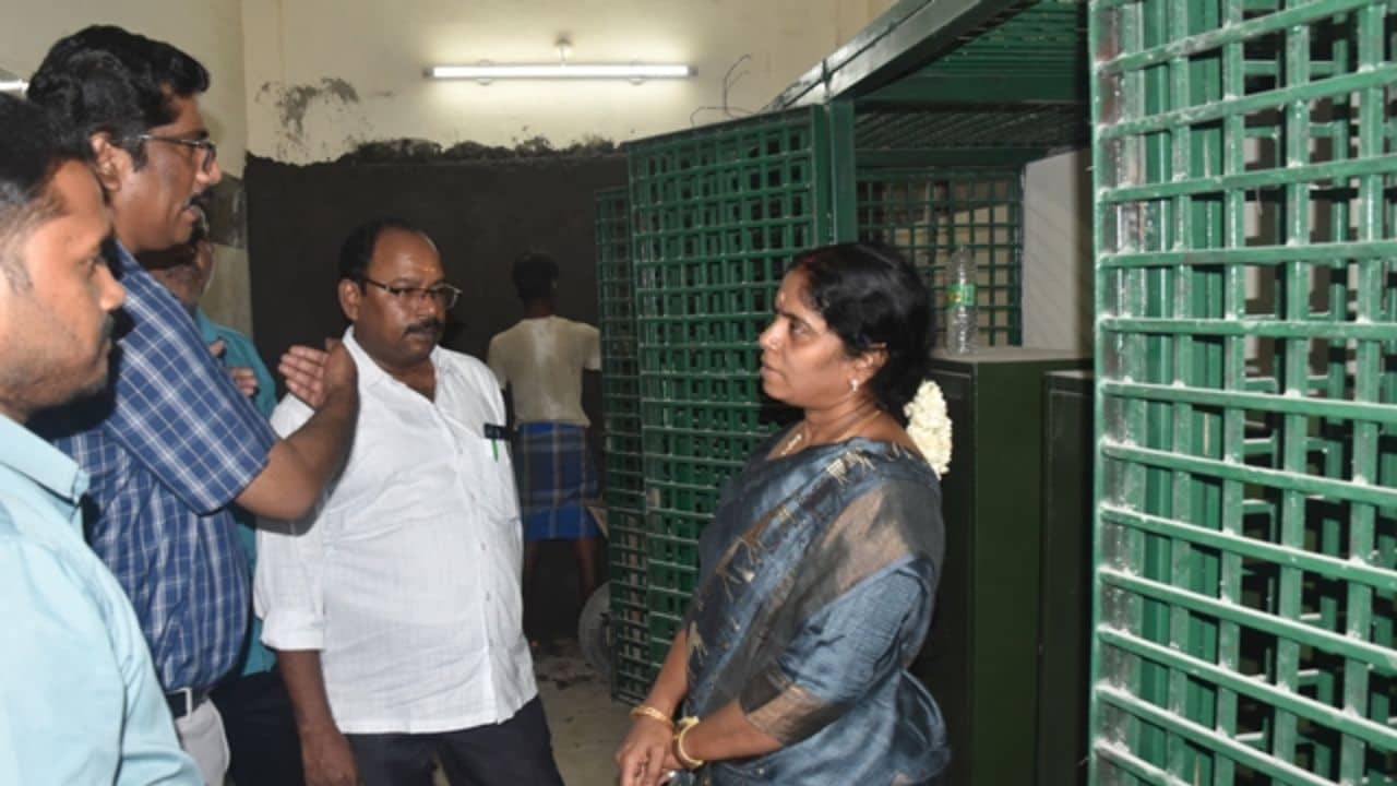 Thaimaman Thanga mothira Thittam