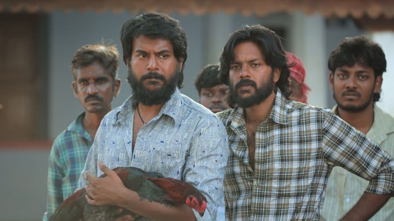 டோரதி பெயர் அர்த்தம்