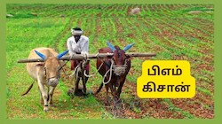 பிஎம் கிசான் 24வது தவணை: விவசாயிகள் அறிந்திருக்க வேண்டிய 4 முக்கிய மாற்றங்கள்