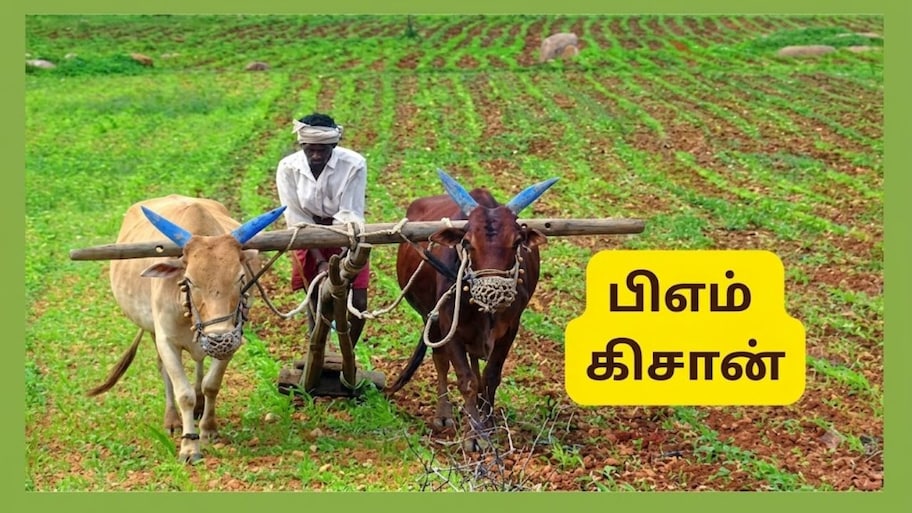 பிஎம் கிசான் 24வது தவணை: விவசாயிகள் அறிந்திருக்க வேண்டிய 4 முக்கிய மாற்றங்கள்