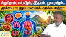 சிறுநீரகம், கல்லீரல், இதயம், நுரையீரல்..முக்கிய உறுப்புகளைக் காக்க சித்தா