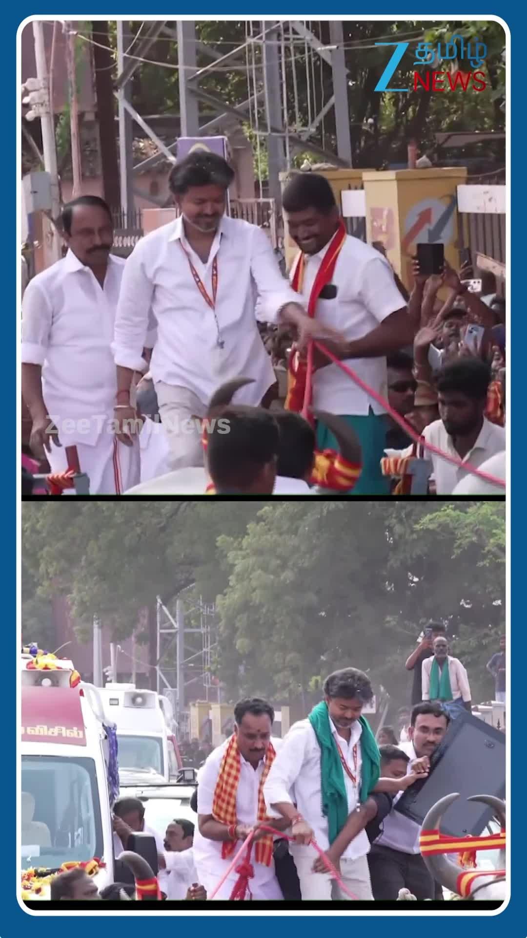 டுர்..டுர்..மாட்டு வண்டி ஓட்டி மாஸ் காட்டிய CM விஜய் ..