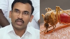 தமிழ்நாட்டில் 21,655 பேருக்கு டெங்கு பாதிப்பு! 10 பேர் பலி..பகீர் தகவல் சொன்ன அமைச்சர்