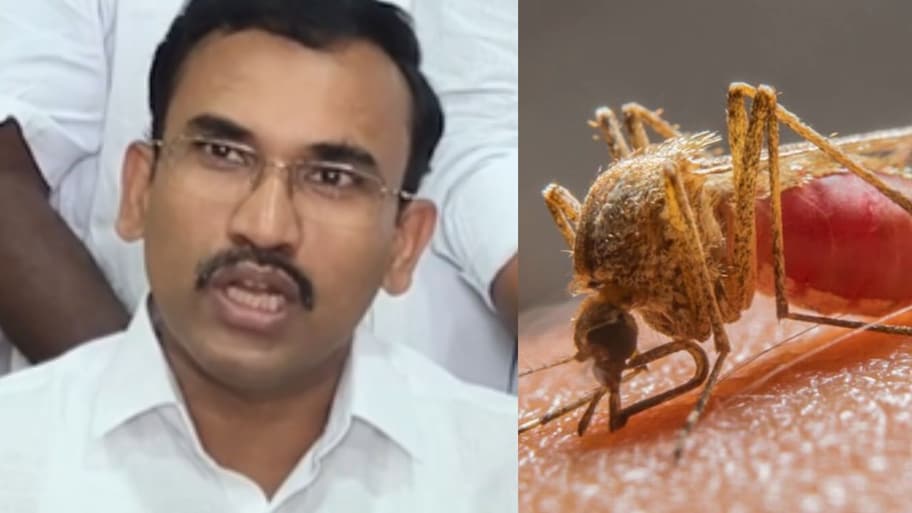 தமிழ்நாட்டில் 21,655 பேருக்கு டெங்கு பாதிப்பு! 10 பேர் பலி..பகீர் தகவல் சொன்ன அமைச்சர்
