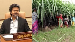 விவசாயிகளின் வங்கி கணக்கில் ரூ.4,000 டெபாசிட்.. முதல்வர் விஜய் அதிரடி உத்தரவு