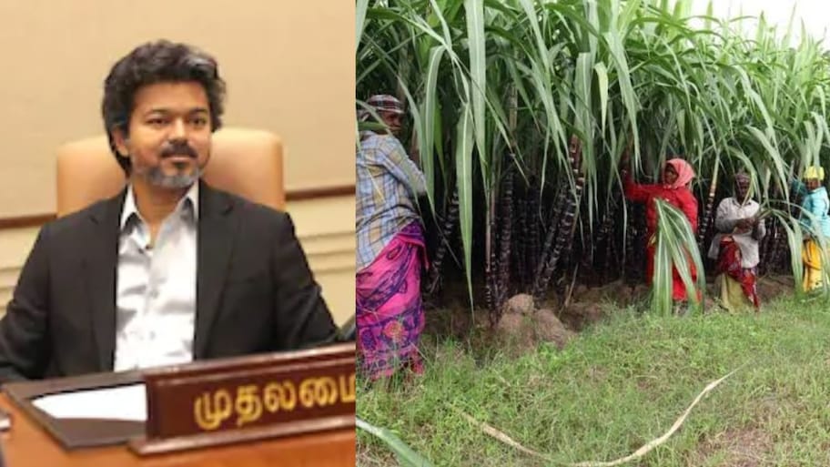விவசாயிகளின் வங்கி கணக்கில் ரூ.4,000 டெபாசிட்.. முதல்வர் விஜய் அதிரடி உத்தரவு
