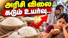 தீபாவளிக்குள் கிலோ ரூ.100-ஐ எட்டும்! உச்சத்தில் அரிசி விலை.. விழிபிதுங்கும் சாமானியர்கள் - காரணம் என்ன?