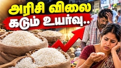 தீபாவளிக்குள் கிலோ ரூ.100-ஐ எட்டும்! உச்சத்தில் அரிசி விலை.. விழிபிதுங்கும் சாமானியர்கள் - காரணம் என்ன?