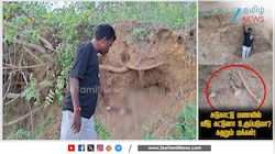 ஆம்பூரில் அவலம்! இப்படியா மணல் கொள்ளை நடக்குது?