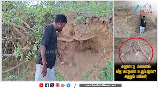 ஆம்பூரில் அவலம்! இப்படியா மணல் கொள்ளை நடக்குது?