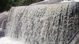 கோவை குற்றாலத்தில் வெள்ளப்பெருக்கு.. சுற்றுலா பயணிகளுக்கு குளிக்க தடை!