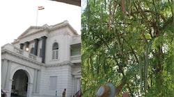 முருங்கை ஏற்றுமதி தொழில் ரகசியம் - தமிழ்நாடு அரசு கொடுத்த முக்கிய அப்டேட்