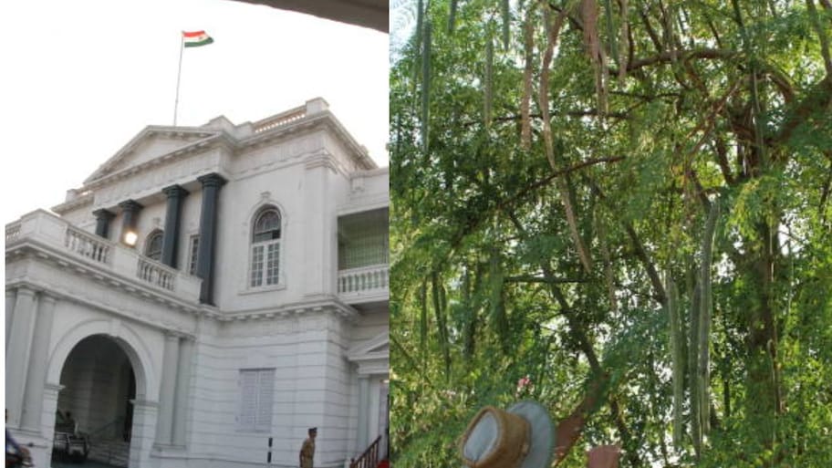 முருங்கை ஏற்றுமதி தொழில் ரகசியம் - தமிழ்நாடு அரசு கொடுத்த முக்கிய அப்டேட்