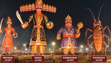 ‘அசுத்தம்..அழுக்கு’ கரப்பான் பூச்சி உருவ பொம்மை எரிக்க முடிவு! பாஜக எம்.எல்.ஏ அறிவிப்பு..