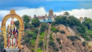பழனி முருகன் கோயில் தரிசனத்தில் மாற்றம்! காலை 11 மணிக்கு மேல் அனுமதி கிடையாது.. அதிரடி அறிவிப்பு