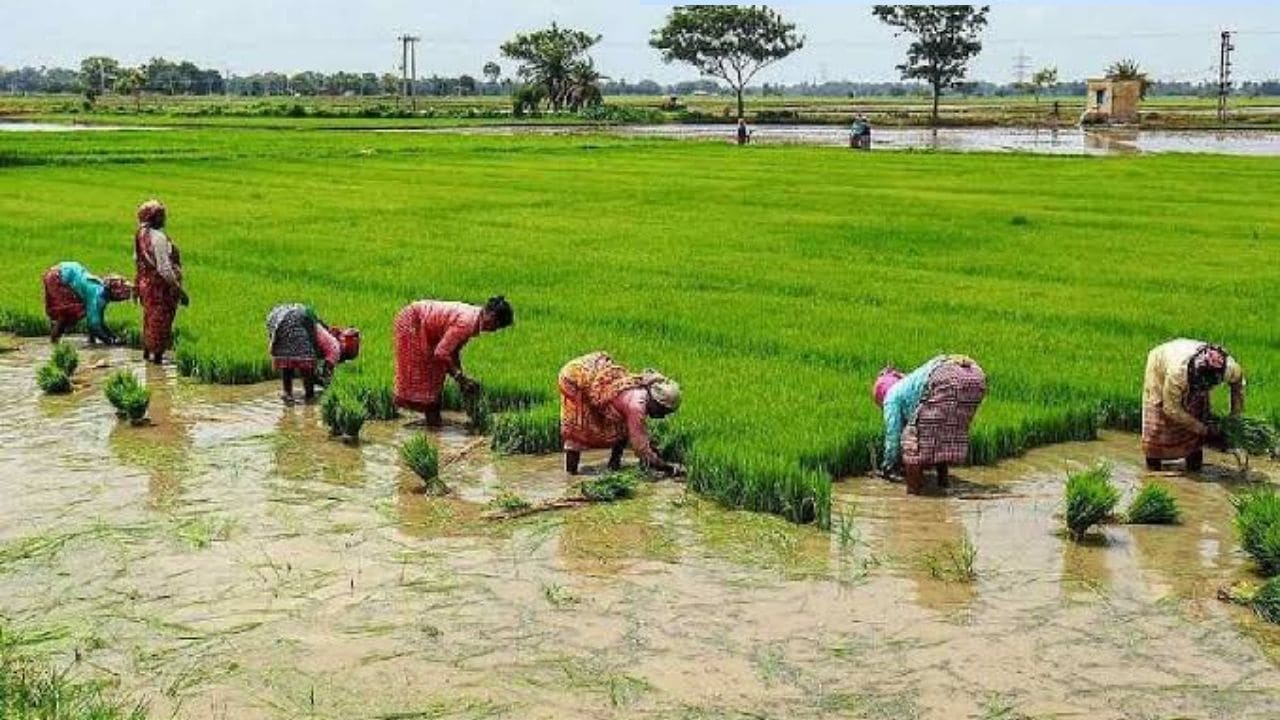 TN Govt Farmer Loan