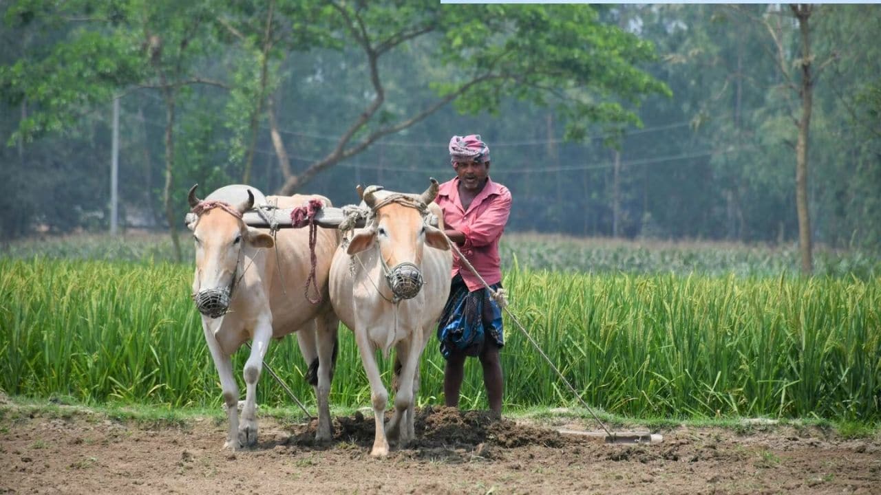 TN Govt Farmer Loan