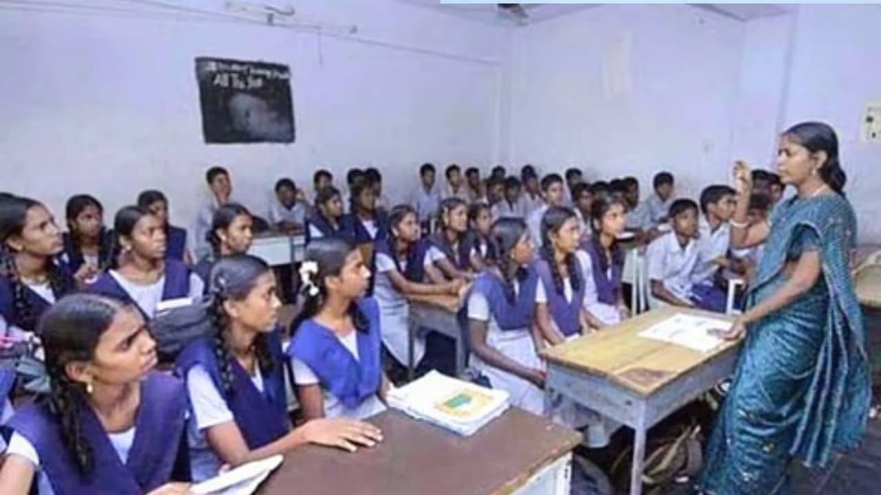 TN School Special Buses
