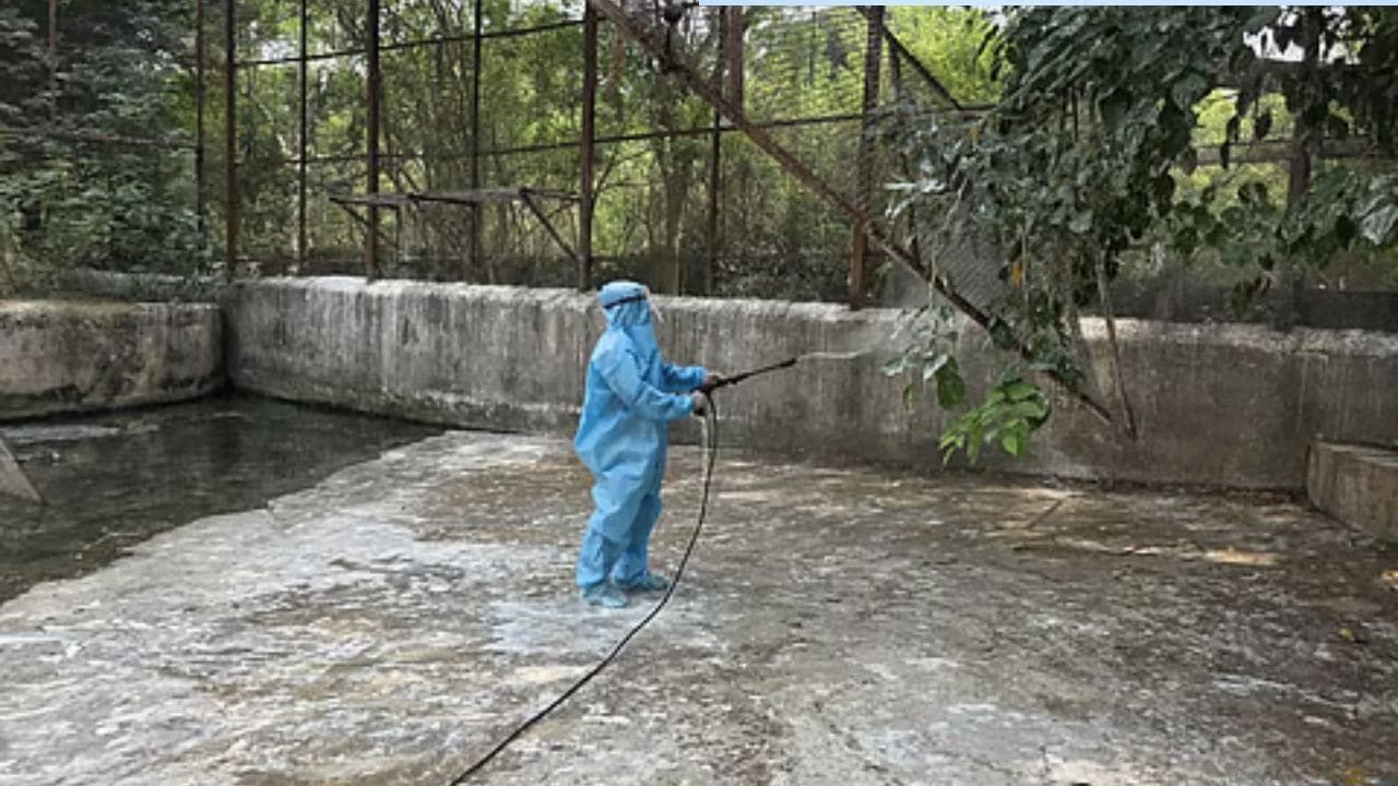 Vandalur Zoo