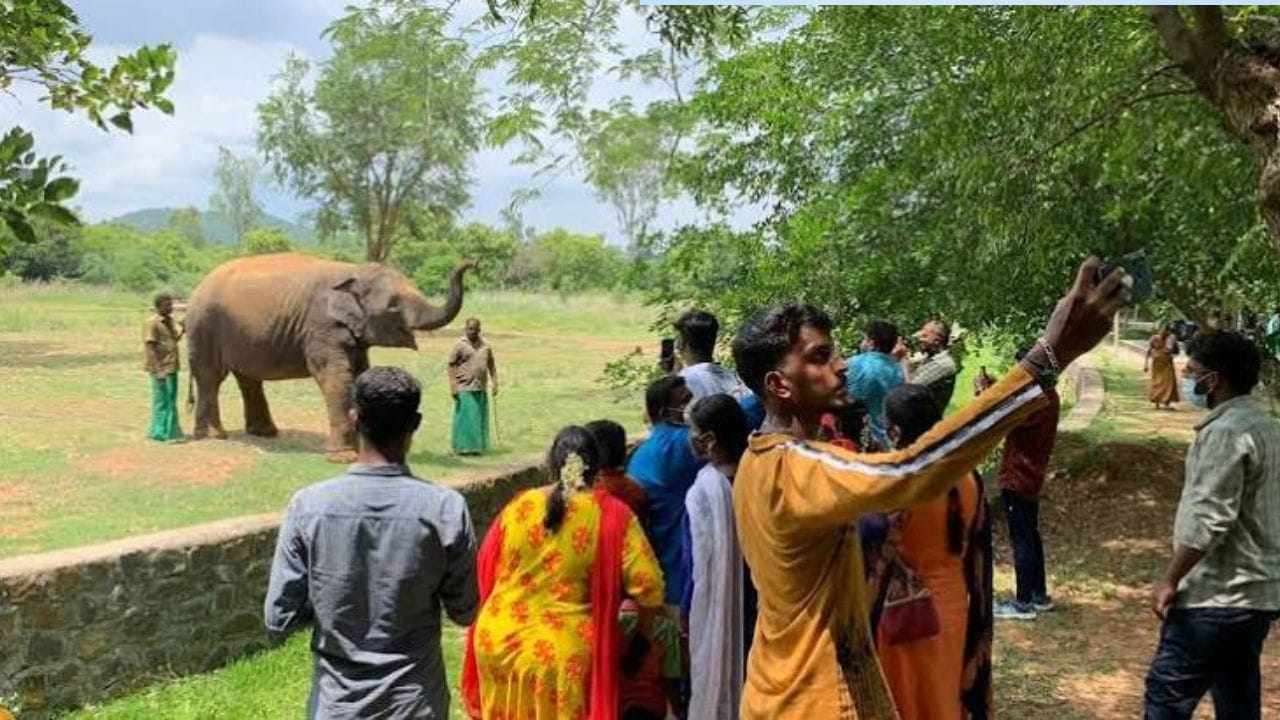 Vandalur Zoo