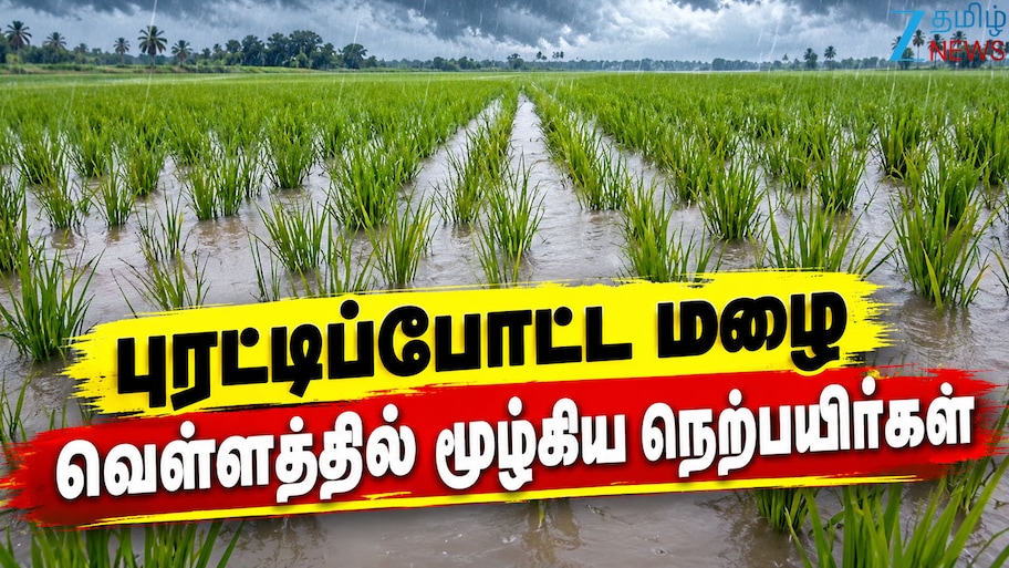 புதுச்சேரி கனமழை கொடூரம்: 2000 ஏக்கர் நெற்பயிர்கள் நீரில் மூழ்கின! -விவசாயிகள் வேதனை