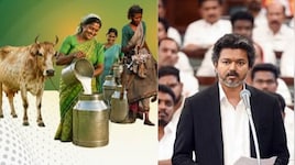 தினமும் 8 லிட்டர் பால்.. இலவச கறவை மாடுகள் திட்டம்.. பெண்களுக்கு தமிழக அரசின் சூப்பர் அறிவிப்பு