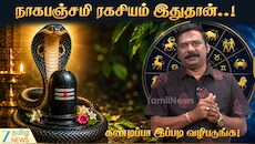 நாக சதுர்த்தி மற்றும் கருட பஞ்சமி: முக்கியத்துவம் மற்றும் வழிபாட்டு முறைகள்