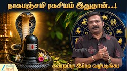 நாக சதுர்த்தி மற்றும் கருட பஞ்சமி: முக்கியத்துவம் மற்றும் வழிபாட்டு முறைகள்
