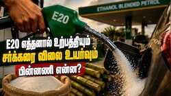 Explained | சர்க்கரை விலை உயர்வும் E20 எத்தனாலும்... உண்மையில் தொடர்பு என்ன?