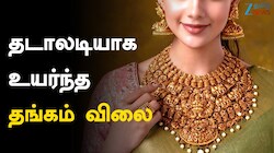 Gold Rate : டக்கனு எகிறிய தங்கம் விலை... சென்னையில் இன்று ஒரு கிராம் கோல்ட் எவ்வளவு?
